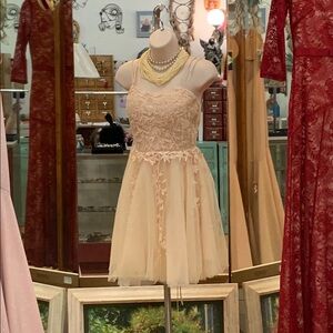 Sleeveless Peach Lace & Tulle Mini Dress by✨